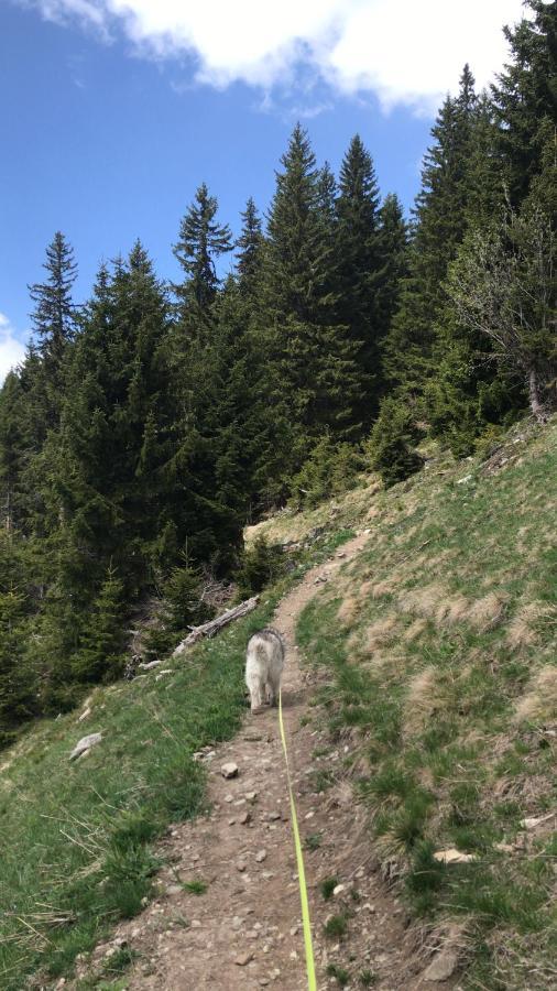 Ferienwohnung Uf Z'Enisch Klosters Kültér fotó